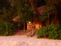 View the album Bungalow